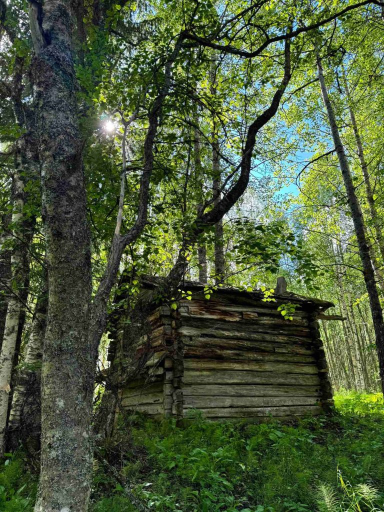 Perintömetsän onnistunut myynti